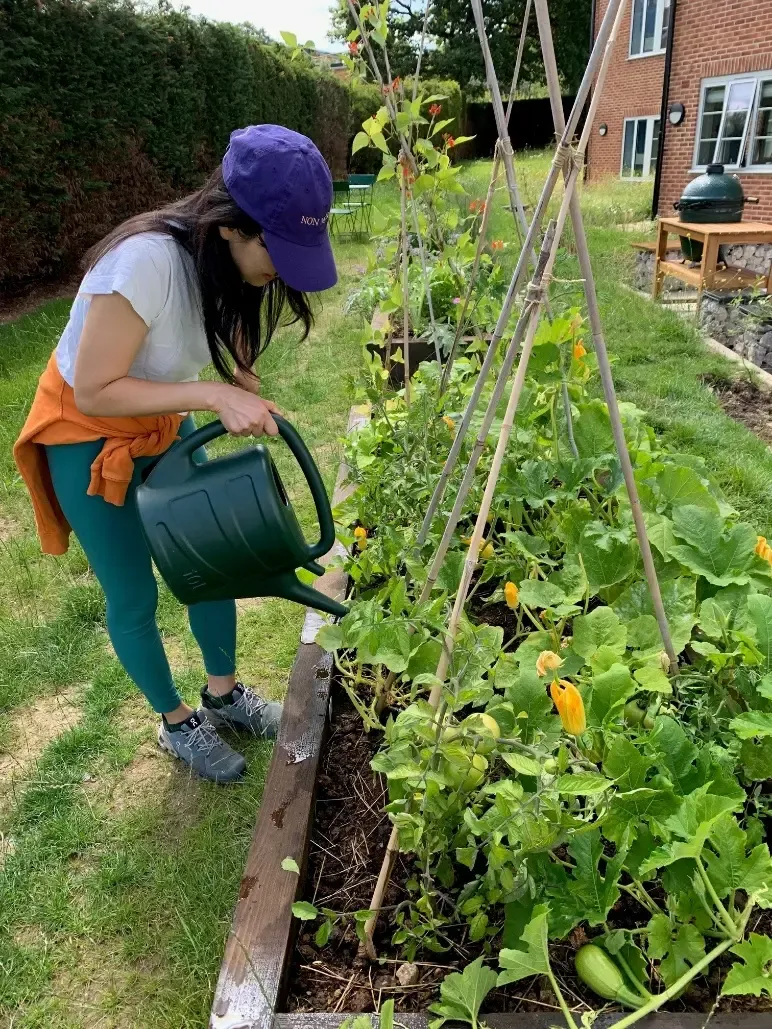 Woman watering plants in a raised garden bed.
