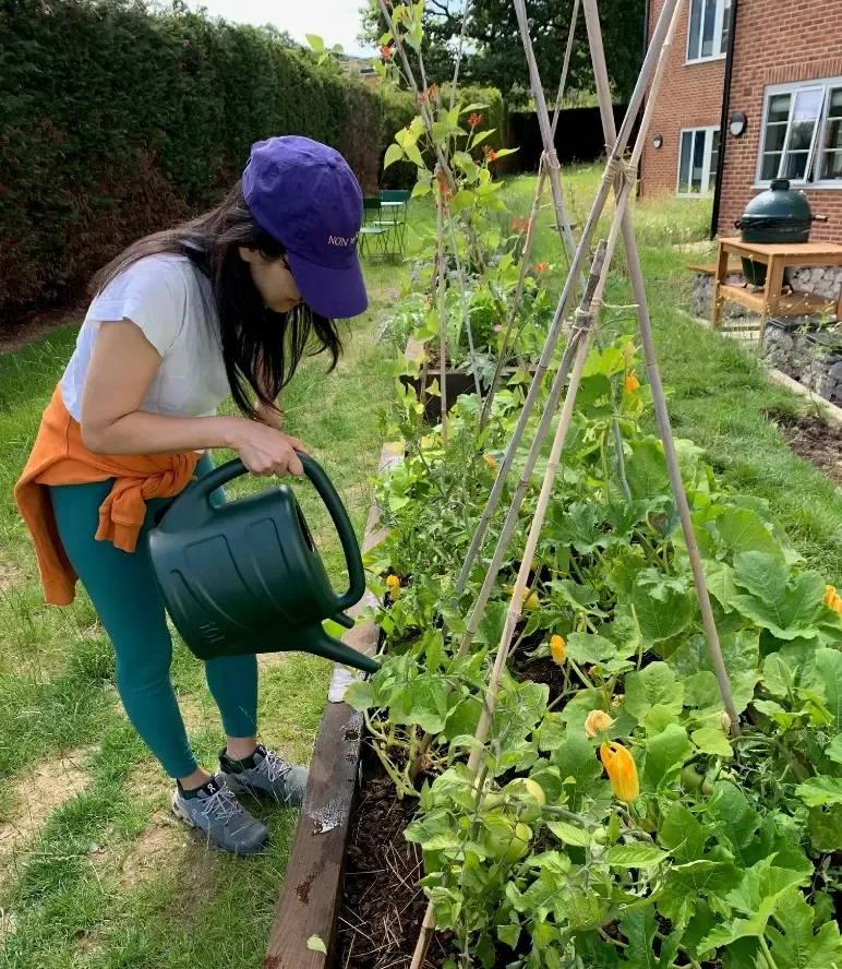 Woman watering plants in a raised garden bed.