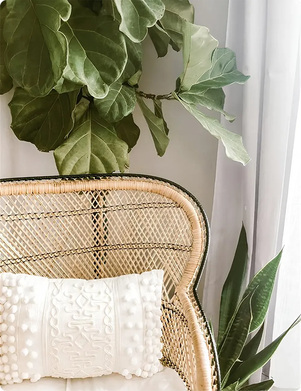 wicker chair with a white decorative pillow, surrounded by green plants